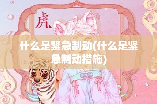 什么是紧急制动(什么是紧急制动措施)