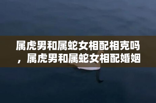 属虎男和属蛇女相配相克吗，属虎男和属蛇女相配婚姻如何