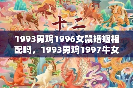 1993男鸡1996女鼠婚姻相配吗，1993男鸡1997牛女缘分