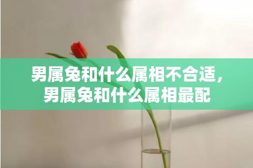 男属兔和什么属相不合适，男属兔和什么属相最配