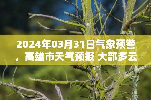 2024年03月31日气象预警，高雄市天气预报 大部多云
