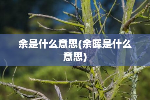 余是什么意思(余晖是什么意思)