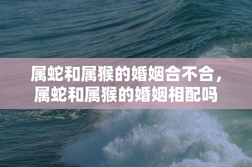 属蛇和属猴的婚姻合不合，属蛇和属猴的婚姻相配吗