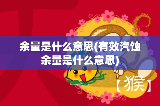 余量是什么意思(有效汽蚀余量是什么意思)