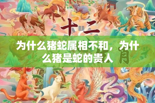 为什么猪蛇属相不和，为什么猪是蛇的贵人