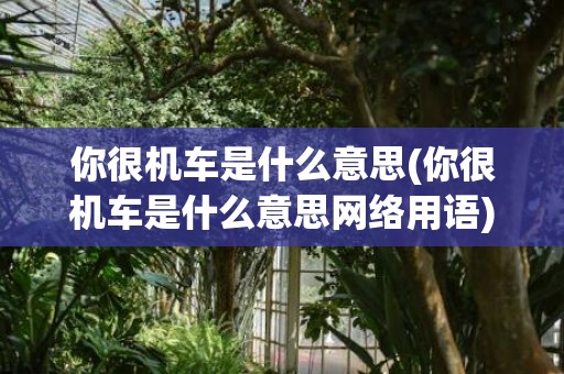 你很机车是什么意思(你很机车是什么意思网络用语)