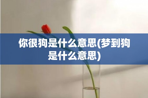 你很狗是什么意思(梦到狗是什么意思)