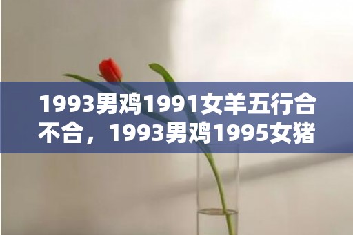 1993男鸡1991女羊五行合不合，1993男鸡1995女猪婚配如何