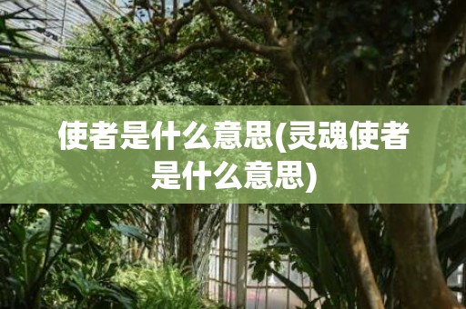 使者是什么意思(灵魂使者是什么意思)