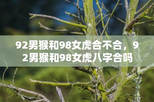 92男猴和98女虎合不合，92男猴和98女虎八字合吗