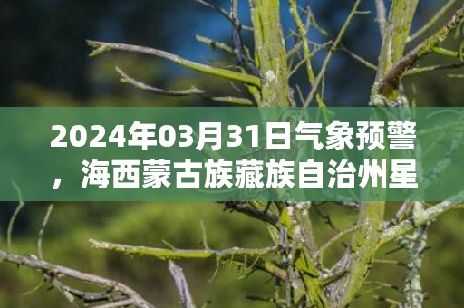 2024年03月31日气象预警，海西蒙古族藏族自治州星期日天气预报 大部多云转阴