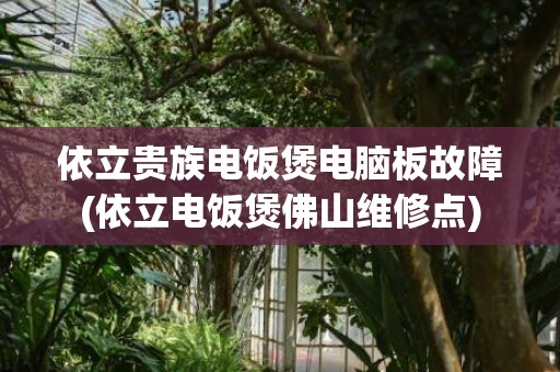 依立贵族电饭煲电脑板故障(依立电饭煲佛山维修点)