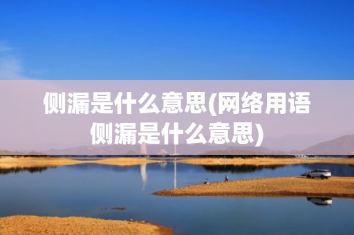 侧漏是什么意思(网络用语侧漏是什么意思)