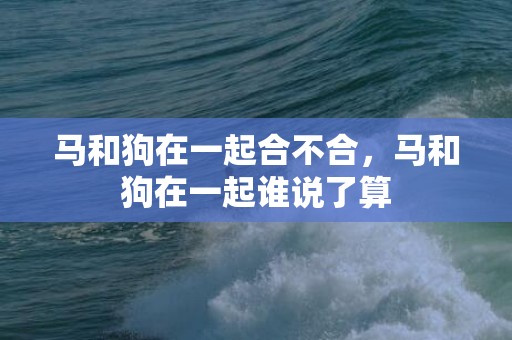 马和狗在一起合不合，马和狗在一起谁说了算