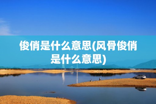 俊俏是什么意思(风骨俊俏是什么意思)