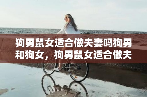 狗男鼠女适合做夫妻吗狗男和狗女，狗男鼠女适合做夫妻吗