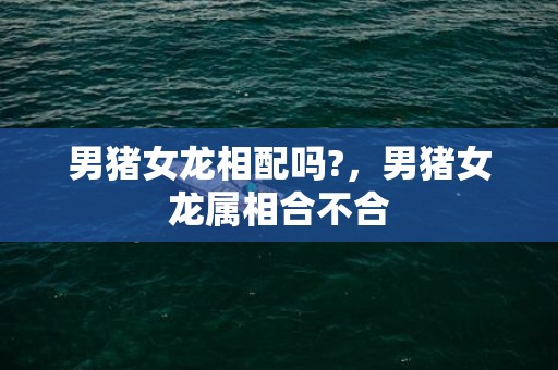 男猪女龙相配吗?，男猪女龙属相合不合