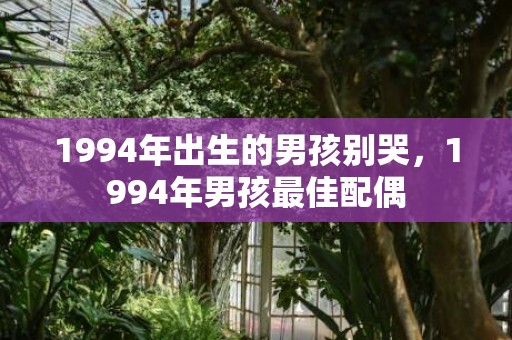 1994年出生的男孩别哭，1994年男孩最佳配偶
