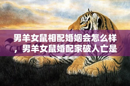 男羊女鼠相配婚姻会怎么样，男羊女鼠婚配家破人亡是真的吗