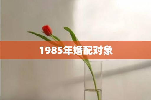 1985年婚配对象