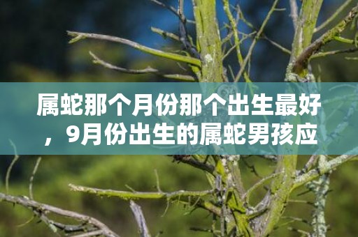 属蛇那个月份那个出生最好，9月份出生的属蛇男孩应该要怎样取名字