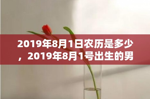 2019年8月1日农历是多少，2019年8月1号出生的男宝宝五行缺金要怎么起名字