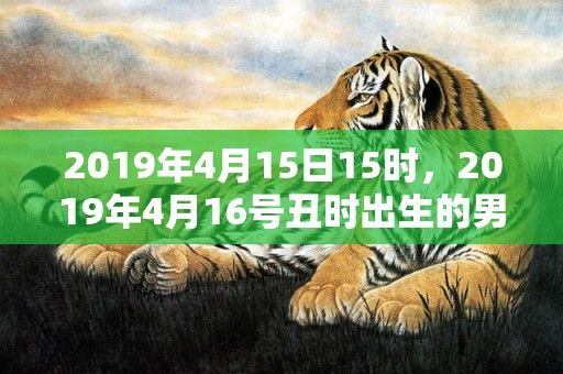 2019年4月15日15时，2019年4月16号丑时出生的男孩起名方法