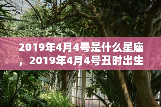 2019年4月4号是什么星座，2019年4月4号丑时出生的男孩如何起名