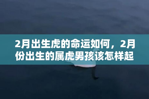 2月出生虎的命运如何，2月份出生的属虎男孩该怎样起名字