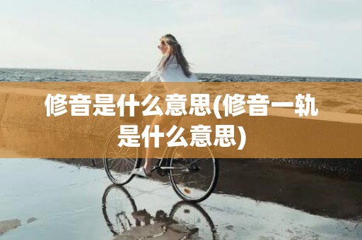 修音是什么意思(修音一轨是什么意思)