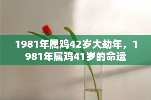 1981年属鸡42岁大劫年，1981年属鸡41岁的命运