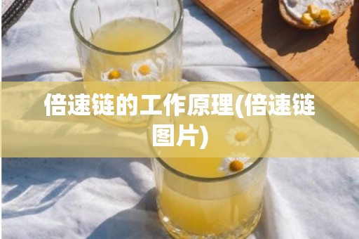 倍速链的工作原理(倍速链图片)