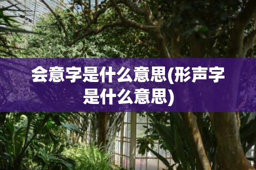 会意字是什么意思(形声字是什么意思)