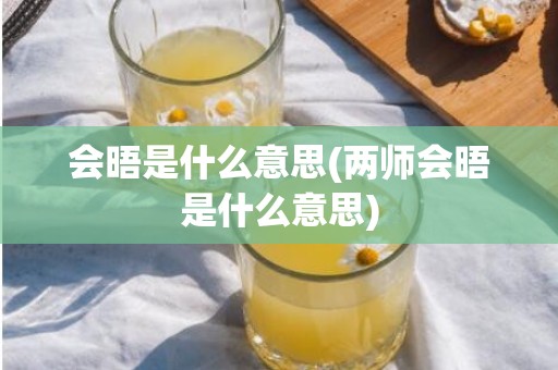 会晤是什么意思(两师会晤是什么意思)