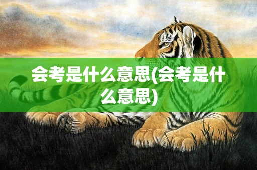 会考是什么意思(会考是什么意思)