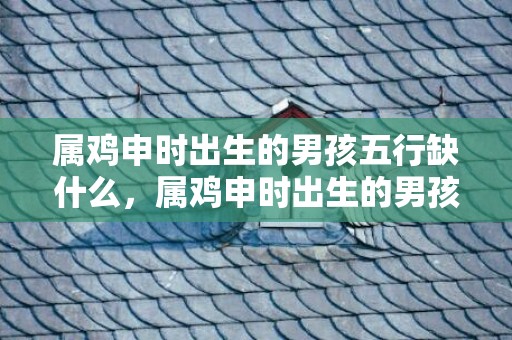 属鸡申时出生的男孩五行缺什么，属鸡申时出生的男孩起什么名字好，不要用什么字