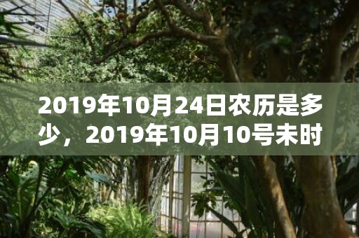 2019年10月24日农历是多少，2019年10月10号未时出生的男孩如何取名