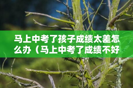 马上中考了孩子成绩太差怎么办（马上中考了成绩不好怎么办）