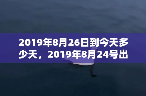 2019年8月26日到今天多少天，2019年8月24号出生的男宝宝五行缺水要如何起名字
