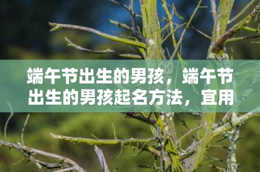 端午节出生的男孩，端午节出生的男孩起名方法，宜用什么字