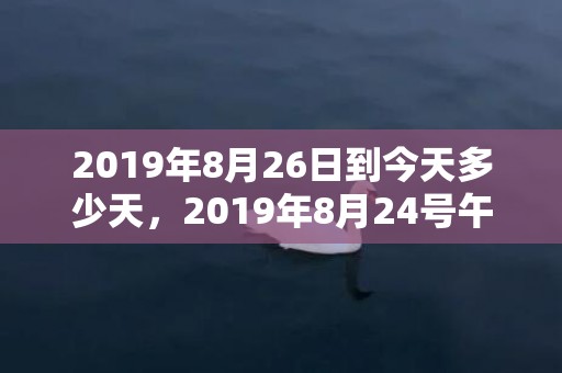 2019年8月26日到今天多少天，2019年8月24号午时出生的男孩怎么起名字，五行属什么