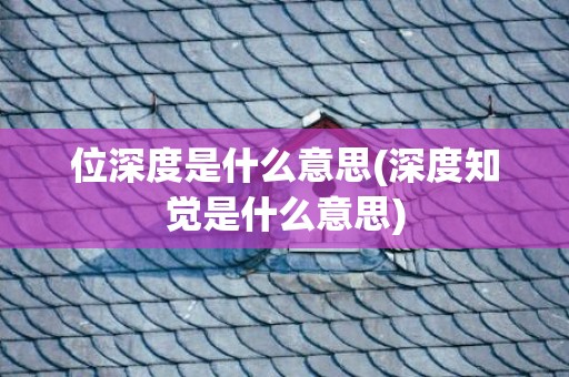 位深度是什么意思(深度知觉是什么意思)