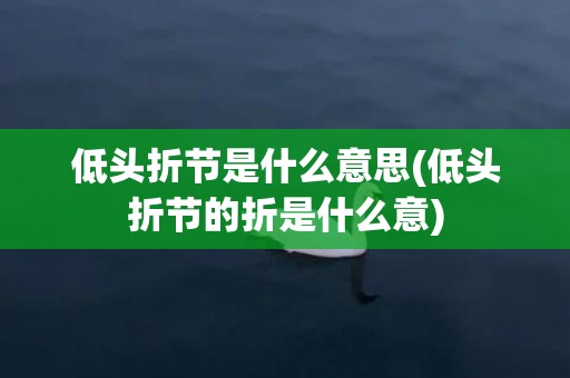 低头折节是什么意思(低头折节的折是什么意)