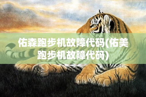 佑森跑步机故障代码(佑美跑步机故障代码)