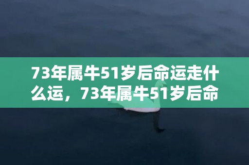 73年属牛51岁后命运走什么运，73年属牛51岁后命运怎样