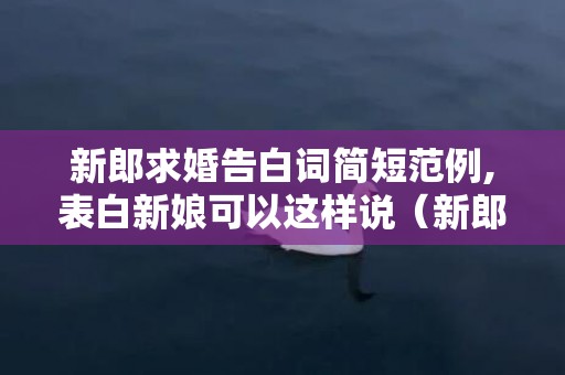 新郎求婚告白词简短范例,表白新娘可以这样说（新郎求婚告白词大全）