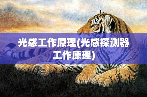 光感工作原理(光感探测器工作原理)