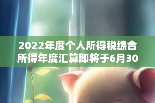 2022年度个人所得税综合所得年度汇算即将于6月30日结束→