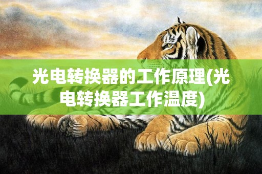 光电转换器的工作原理(光电转换器工作温度)