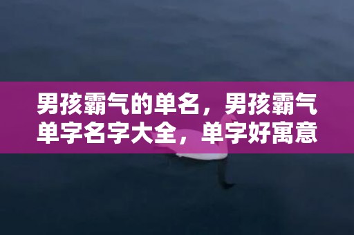 男孩霸气的单名，男孩霸气单字名字大全，单字好寓意名字
